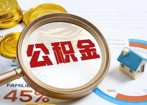 娄底2025年政策调整对个人影响综合解析